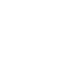 Top Seo Company India