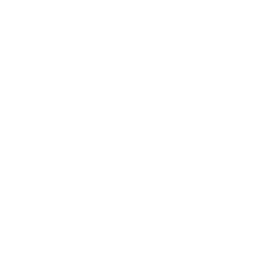 Best  Seo Company India